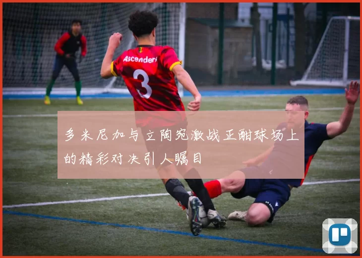 多米尼加与立陶宛激战正酣球场上的精彩对决引人瞩目