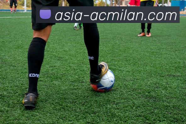 米兰体育官网发展历程